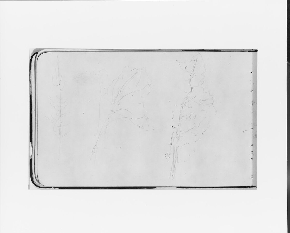 Sketchbook of Northwest American and Canadian Scenery, Albert Bierstadt (American, Solingen 1830–1902 New York), Drawings in graphite on off-white wove paper, bound in a leather cover, American