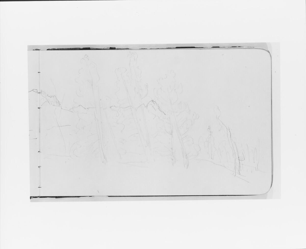 Sketchbook of Northwest American and Canadian Scenery, Albert Bierstadt (American, Solingen 1830–1902 New York), Drawings in graphite on off-white wove paper, bound in a leather cover, American