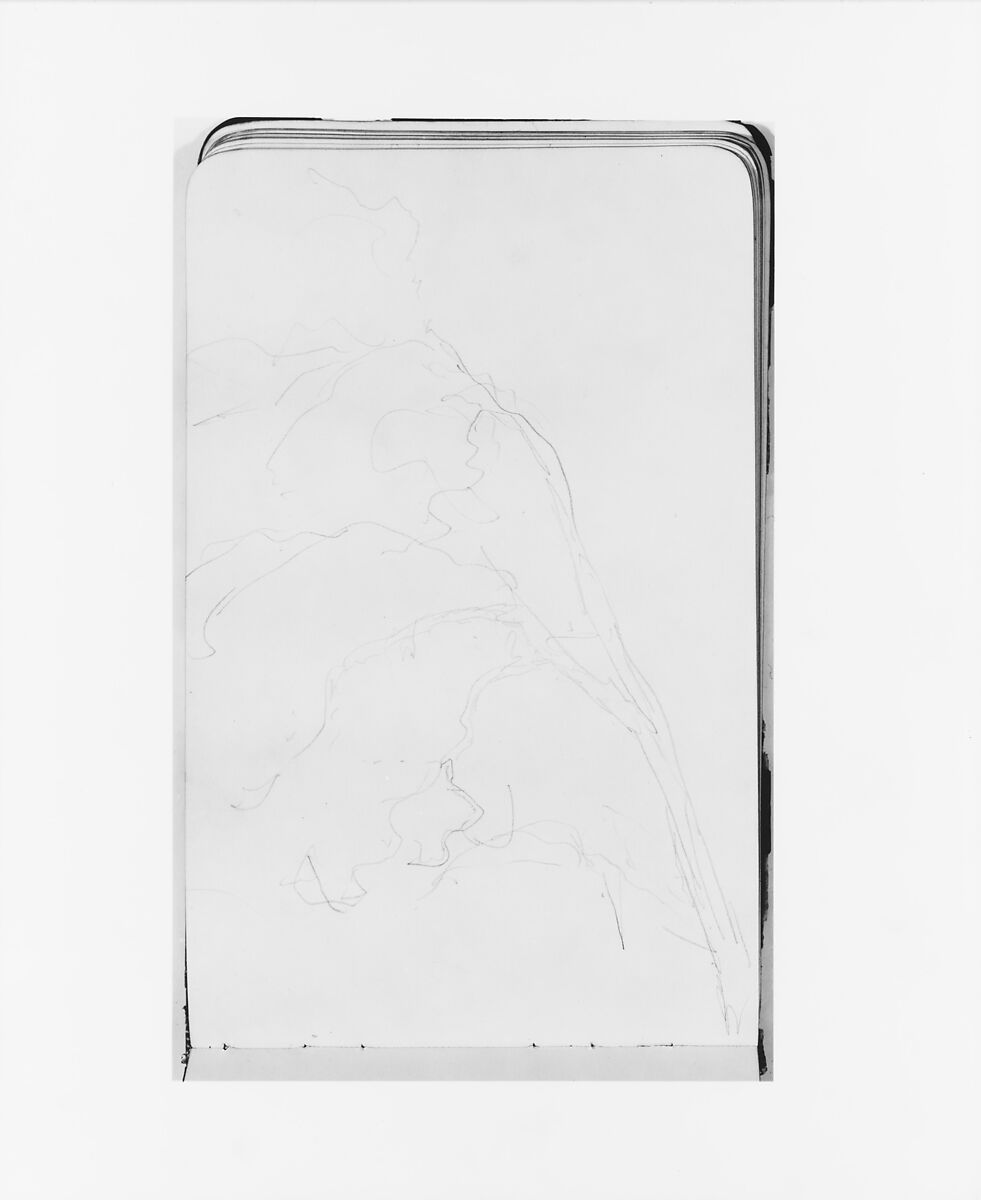 Sketchbook of Northwest American and Canadian Scenery, Albert Bierstadt (American, Solingen 1830–1902 New York), Drawings in graphite on off-white wove paper, bound in a leather cover, American