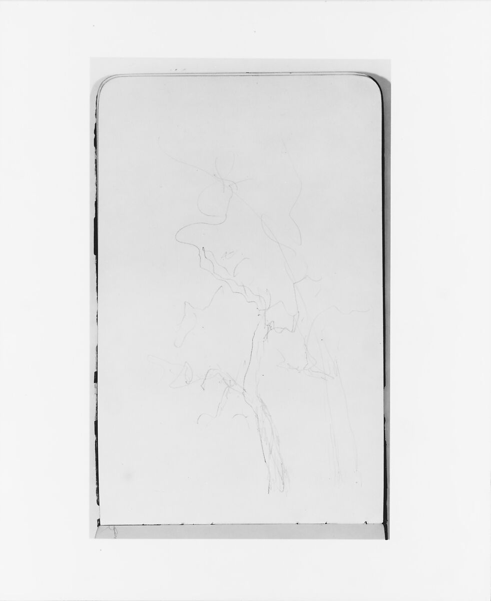 Sketchbook of Northwest American and Canadian Scenery, Albert Bierstadt (American, Solingen 1830–1902 New York), Drawings in graphite on off-white wove paper, bound in a leather cover, American