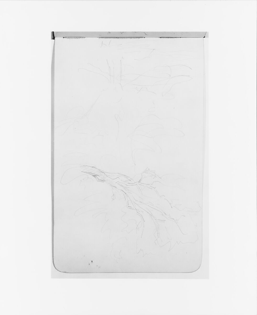 Sketchbook of Northwest American and Canadian Scenery, Albert Bierstadt (American, Solingen 1830–1902 New York), Drawings in graphite on off-white wove paper, bound in a leather cover, American