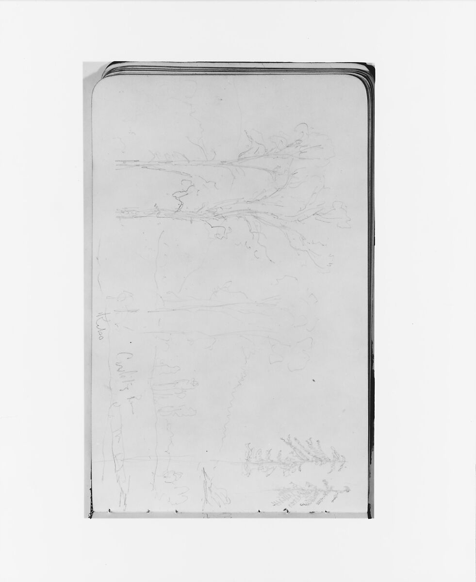Sketchbook of Northwest American and Canadian Scenery, Albert Bierstadt (American, Solingen 1830–1902 New York), Drawings in graphite on off-white wove paper, bound in a leather cover, American