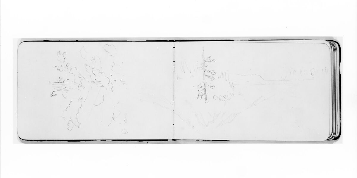 Sketchbook of Northwest American and Canadian Scenery, Albert Bierstadt (American, Solingen 1830–1902 New York), Drawings in graphite on off-white wove paper, bound in a leather cover, American