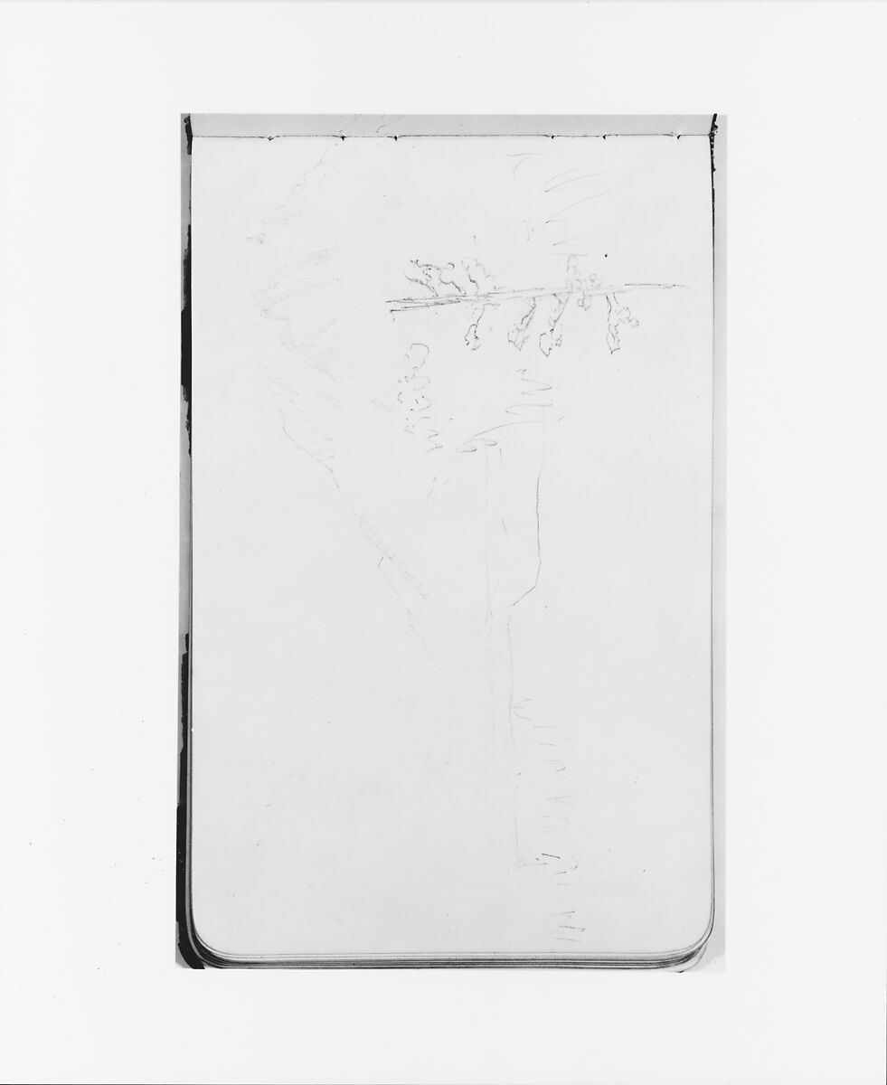 Sketchbook of Northwest American and Canadian Scenery, Albert Bierstadt (American, Solingen 1830–1902 New York), Drawings in graphite on off-white wove paper, bound in a leather cover, American