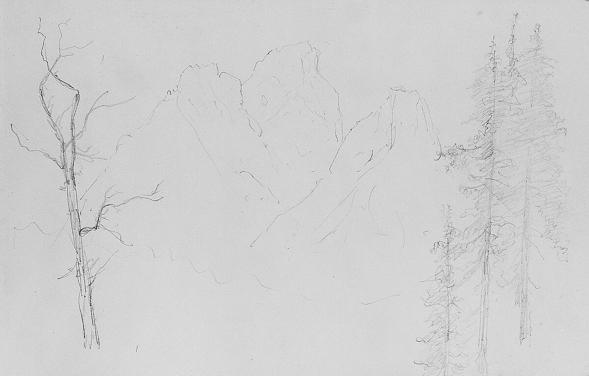 Sketchbook of Northwest American and Canadian Scenery, Albert Bierstadt (American, Solingen 1830–1902 New York), Drawings in graphite on off-white wove paper, bound in a leather cover, American