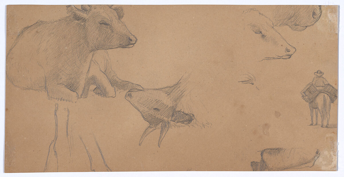Sketches of a Donkey, a Cow, and a Man on Horseback, Elihu Vedder (American, New York 1836–1923 Rome), Graphite on brown wove paper, American 