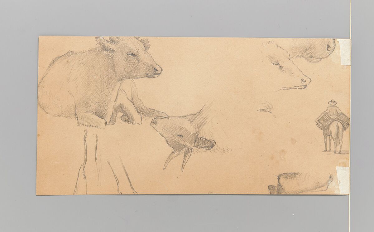 Sketches of a Donkey, a Cow, and a Man on Horseback, Elihu Vedder (American, New York 1836–1923 Rome), Graphite on brown wove paper, American