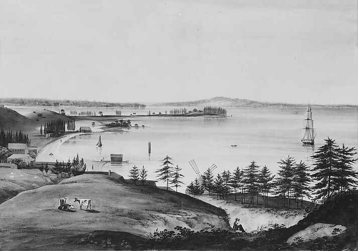 The Bay of New York Looking to the Narrows and Staten Island, Taken from Brooklyn Heights