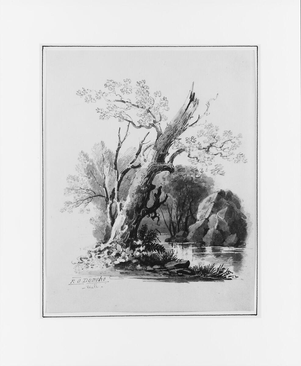 Forest Grove, William Guy Wall (Irish, Dublin 1792–after 1864 Ireland (active America)), Watercolor and graphite on off-white wove paper, American