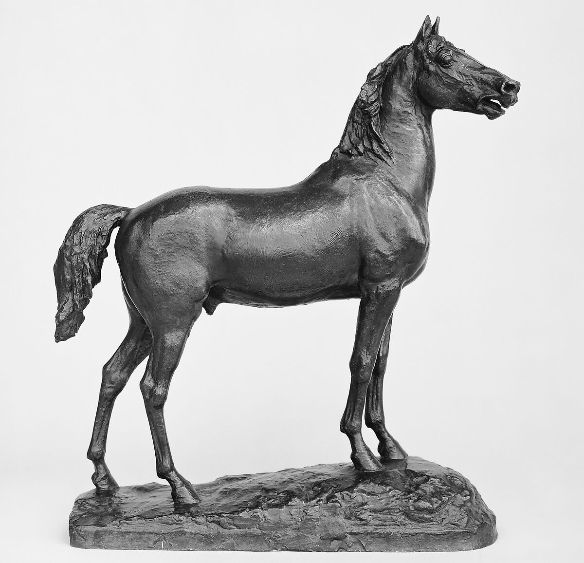 Study of the Horse for the Statue of Major General George Henry Thomas, John Quincy Adams Ward (American, Urbana, Ohio 1830–1910 New York), Bronze, American