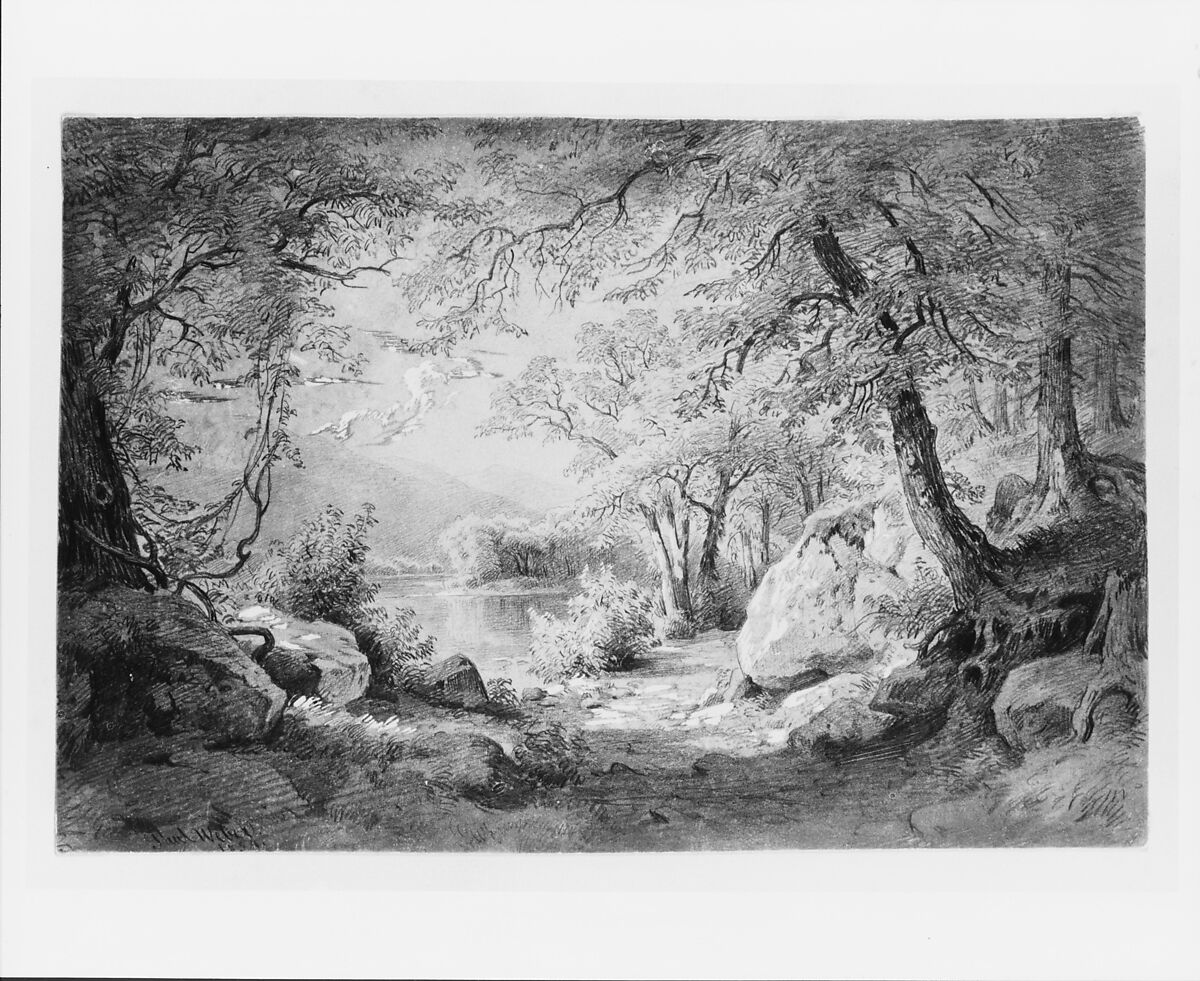 Wooded Landscape with Lake and Mountains (from the Cropsey Album), Paul Weber (1823–1916), Graphite and sgraffito on prepared Bristol board, American