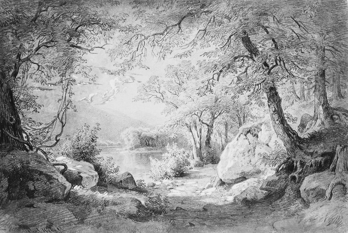 Wooded Landscape with Lake and Mountains (from the Cropsey Album), Paul Weber (1823–1916), Graphite and sgraffito on prepared Bristol board, American 