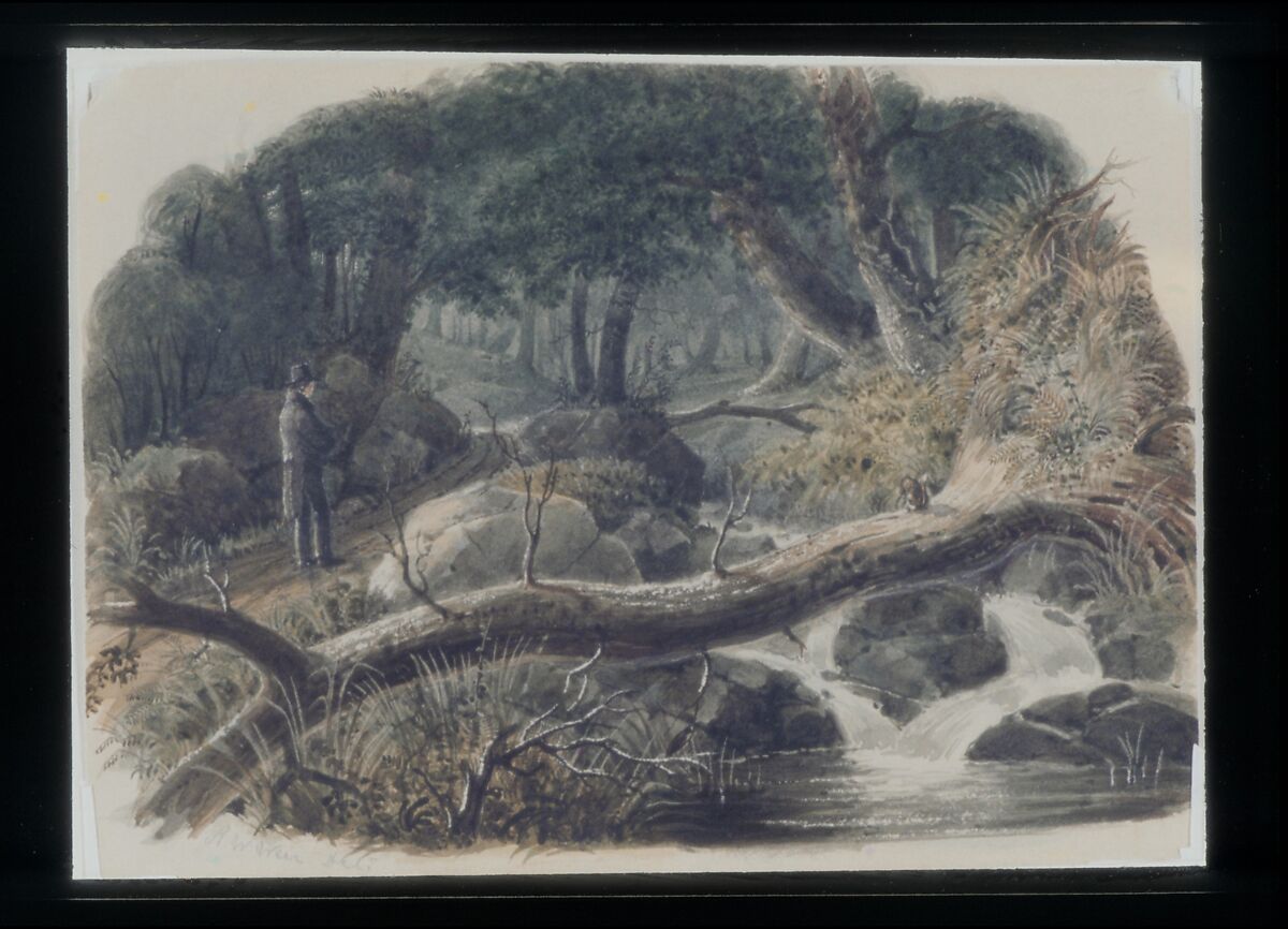 The Entrance to a Wood, Robert Walter Weir (American, New Rochelle, New York 1803–1889 New York), Watercolor and graphite on buff wove paper, American