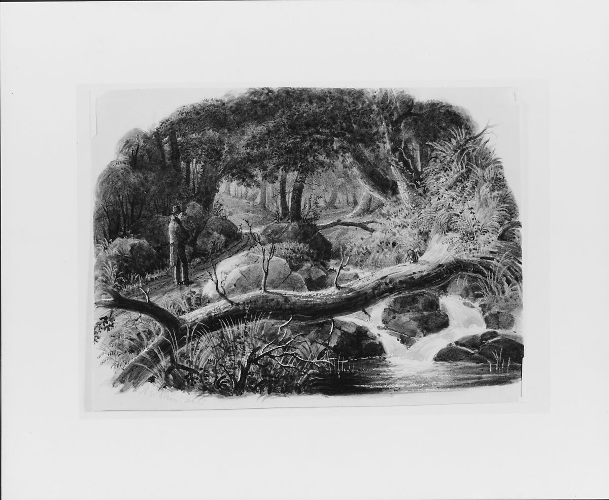The Entrance to a Wood, Robert Walter Weir (American, New Rochelle, New York 1803–1889 New York), Watercolor and graphite on buff wove paper, American