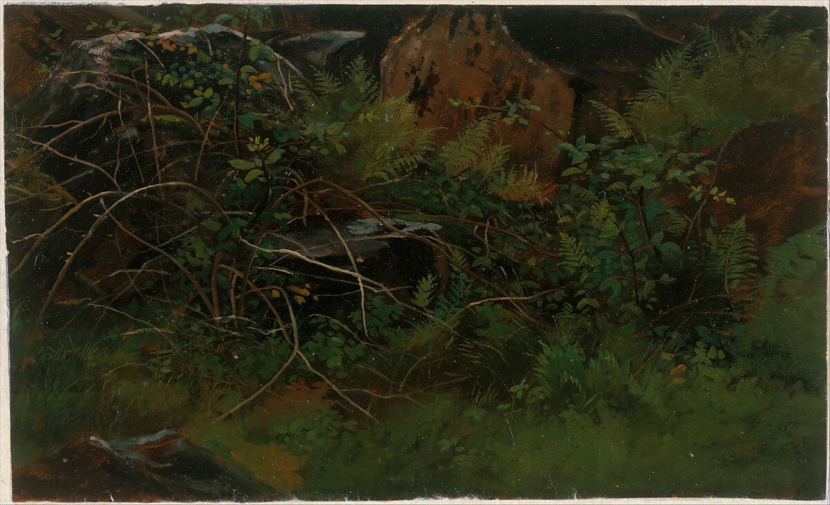 Study from Nature, William Stanley Haseltine (American, Philadelphia, Pennsylvania 1835–1900 Rome), Oil on paper, American 