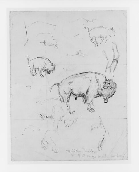 For Q Street Bridge Washington D.C., Alexander Phimister Proctor (American, Bosanquet, Ontario 1860–1950 Palo Alto, California), Graphite on paper, American