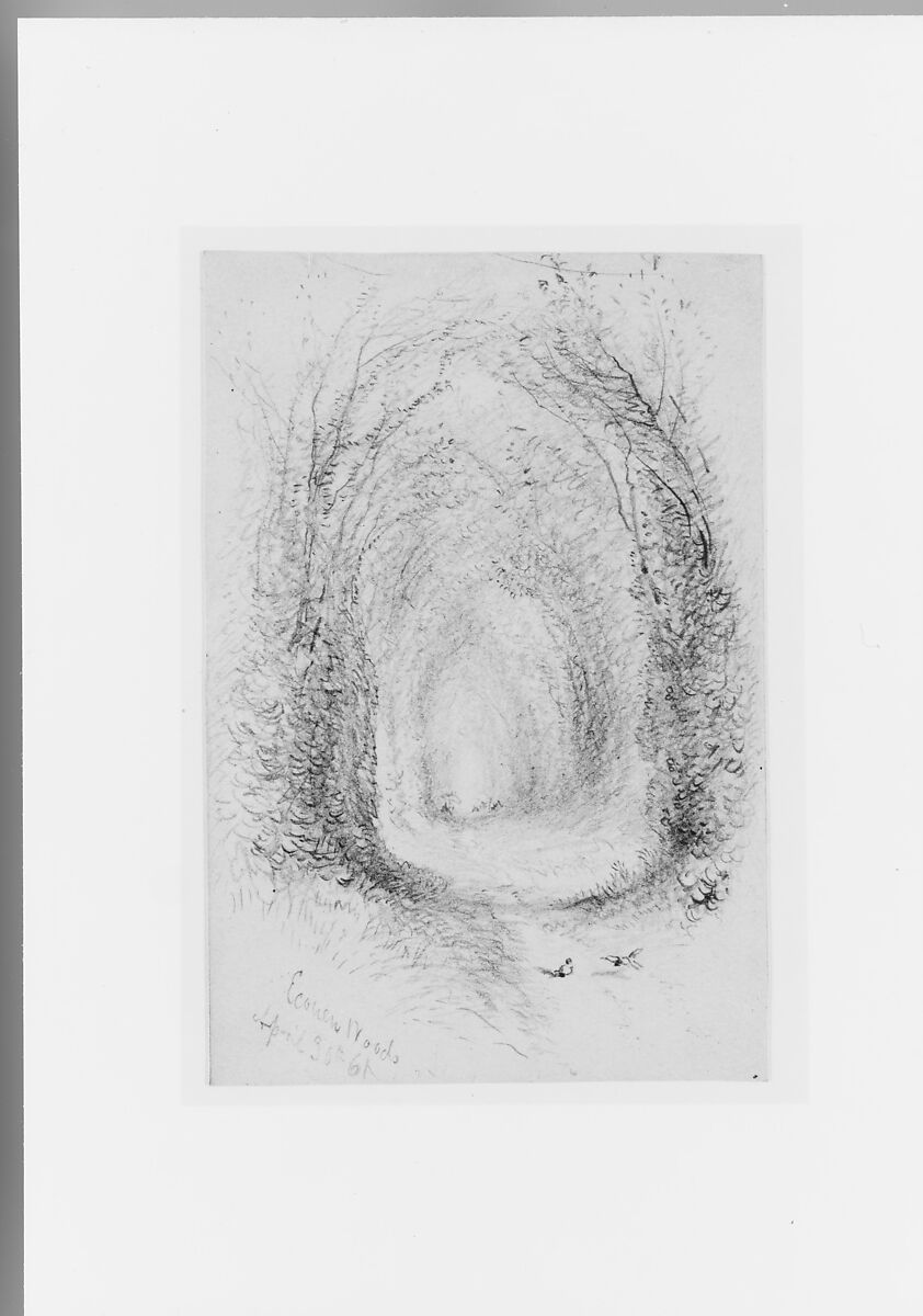 Econen Woods, Graphite on off-white Bristol board, American