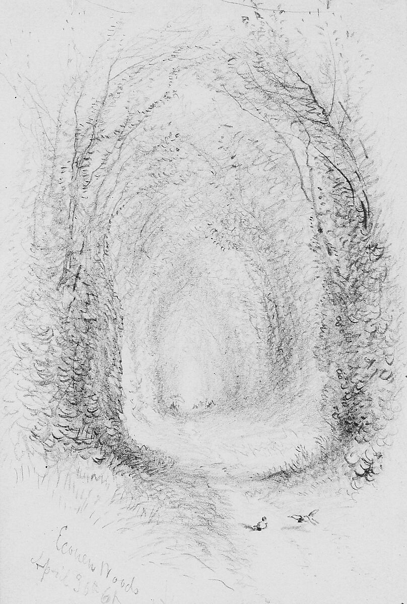 Econen Woods, Graphite on off-white Bristol board, American 