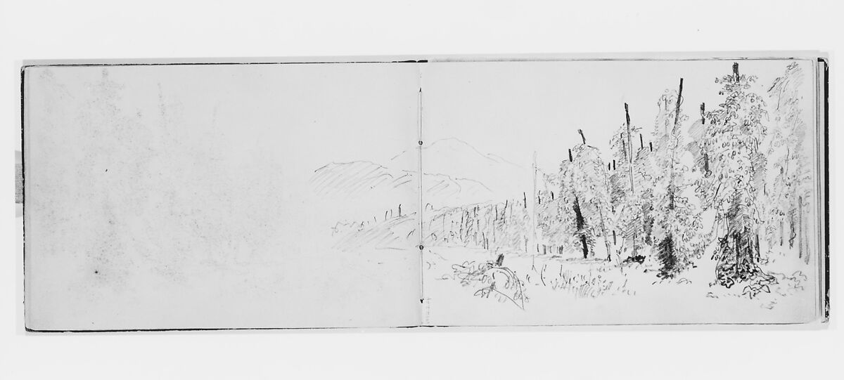 Landscape with Forest, Fields, and Mountains (from Sketchbook X), William Trost Richards (American, Philadelphia, Pennsylvania 1833–1905 Newport, Rhode Island), Graphite on off-white wove paper, American 