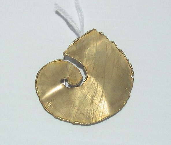 Pin
