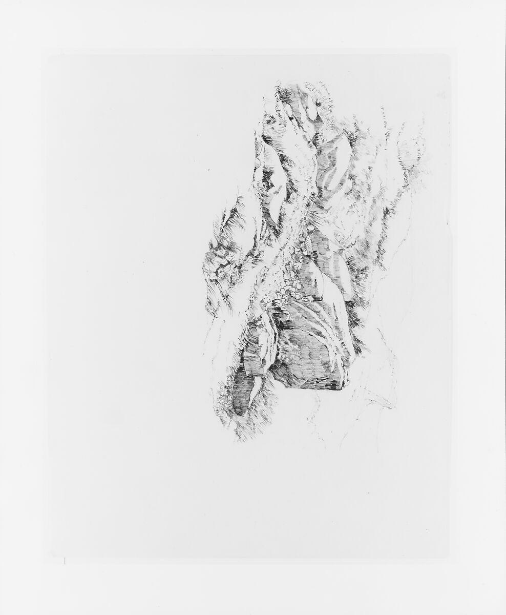 Study of Rocks, John William Casilear (American, New York 1811–1893 Saratoga Springs, New York), Graphite on off-white Bristol board, American