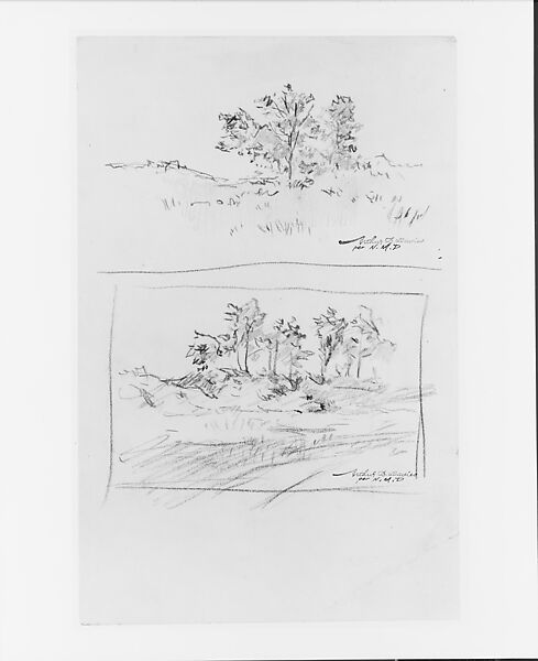 Trees at Amagansett, Long Island: Two Studies, Arthur B. Davies (American, Utica, New York 1862–1928 Florence), Graphite on off-white wove paper, American