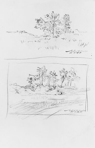 Trees at Amagansett, Long Island: Two Studies, Arthur B. Davies (American, Utica, New York 1862–1928 Florence), Graphite on off-white wove paper, American 