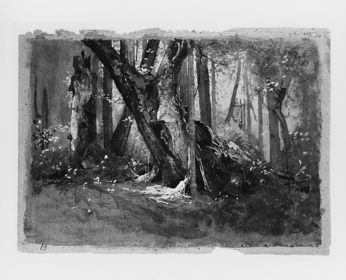 Woodland Interior, Louis C. Tiffany (American, New York 1848–1933 New York), Watercolor and gouache on tan paper, American