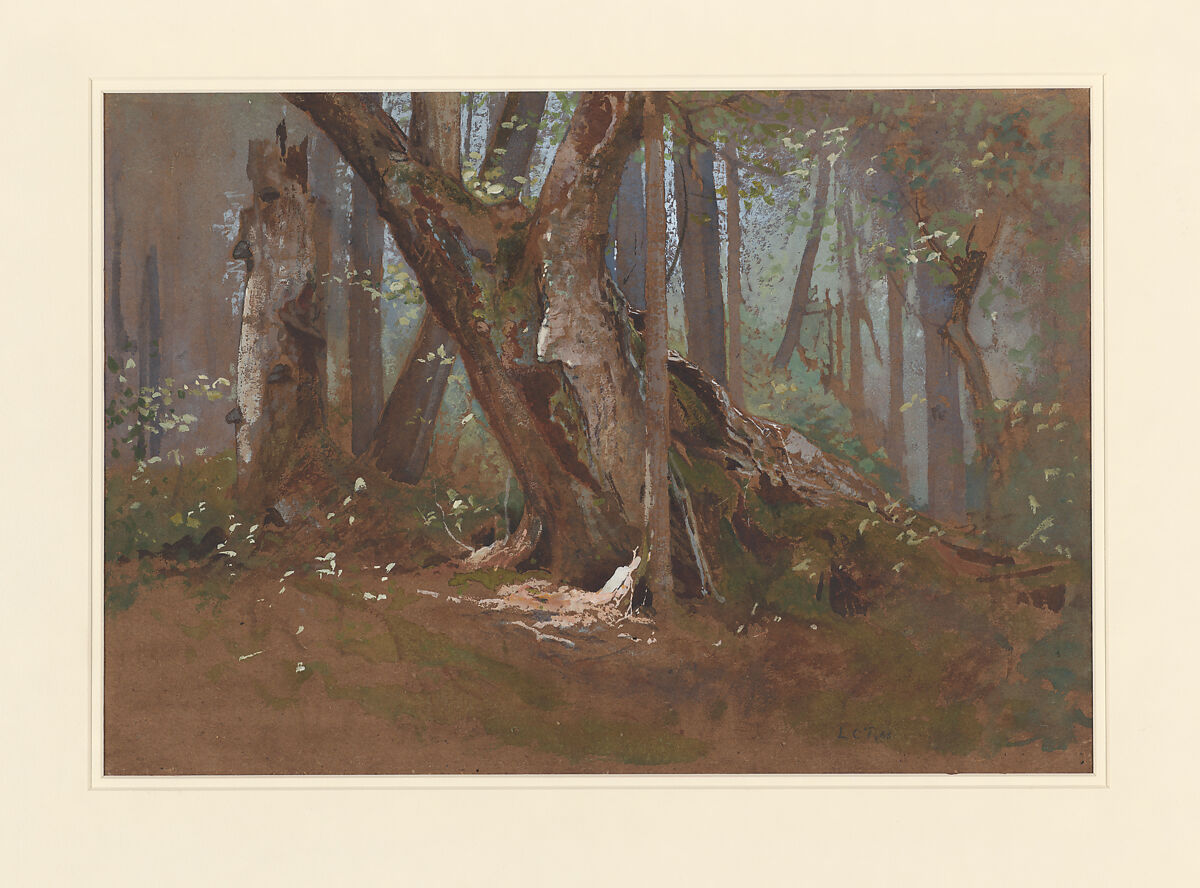 Woodland Interior, Louis C. Tiffany (American, New York 1848–1933 New York), Transparent and opaque watercolor on tan paper, American