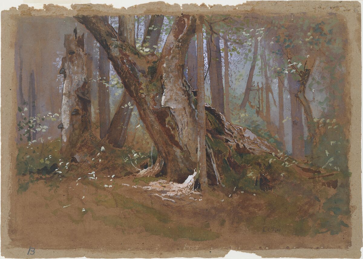 Woodland Interior, Louis C. Tiffany (American, New York 1848–1933 New York), Watercolor and gouache on tan paper, American 