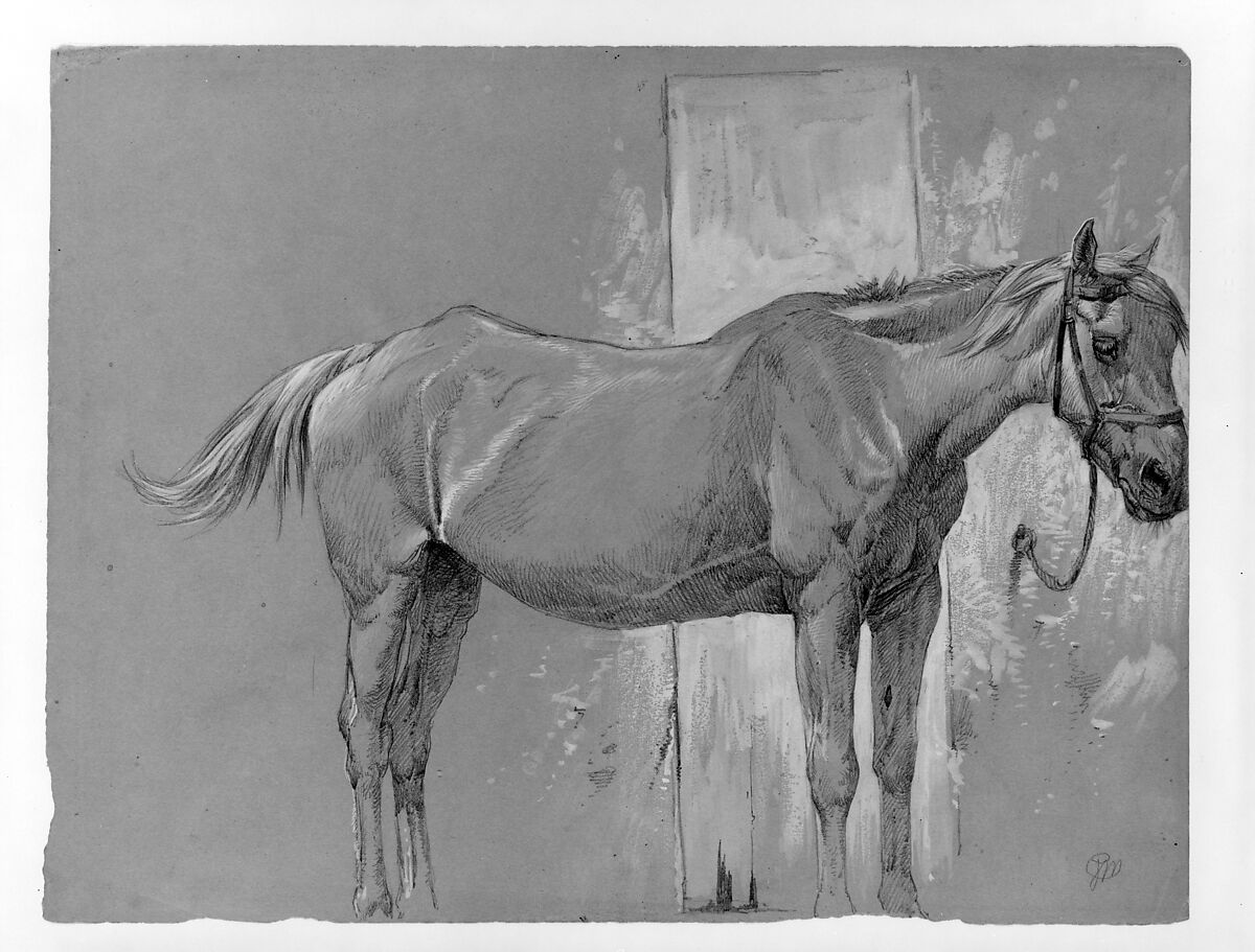 Horse, Fort Stanton, New Mexico, Peter Moran (American (born England), Bolton, Lancashire 1841–1914 Philadelphia, Pennsylvania), Graphite and white gouache on gray-green wove paper, American 