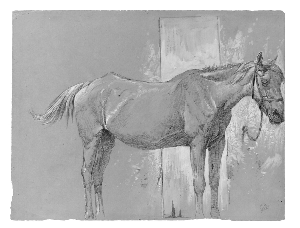 Horse, Fort Stanton, New Mexico, Peter Moran (American (born England), Bolton, Lancashire 1841–1914 Philadelphia, Pennsylvania), Graphite and white gouache on gray-green wove paper, American