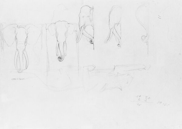 Schematic Sketches of Elephants for Bronx Zoo Elephant House