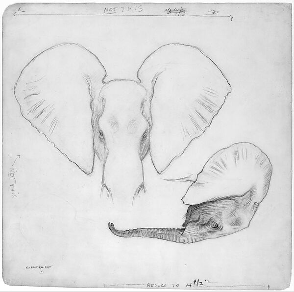 Head of African Elephants, Frontal and Profile View, Charles R. Knight (American, 1874–1953), Graphite on illustration board, American