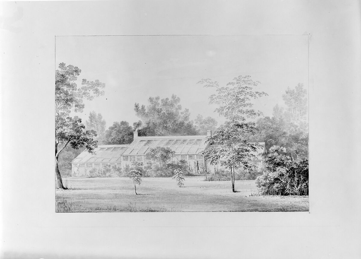 Greenhouse, David Hosack Estate, Hyde Park, New York (from Hoasack Album), Thomas Kelah Wharton (American (born England), Hull 1814–1862 New Orleans, Louisiana), Black ink (or watercolor) applied with pen or brush on off-white wove paper, American