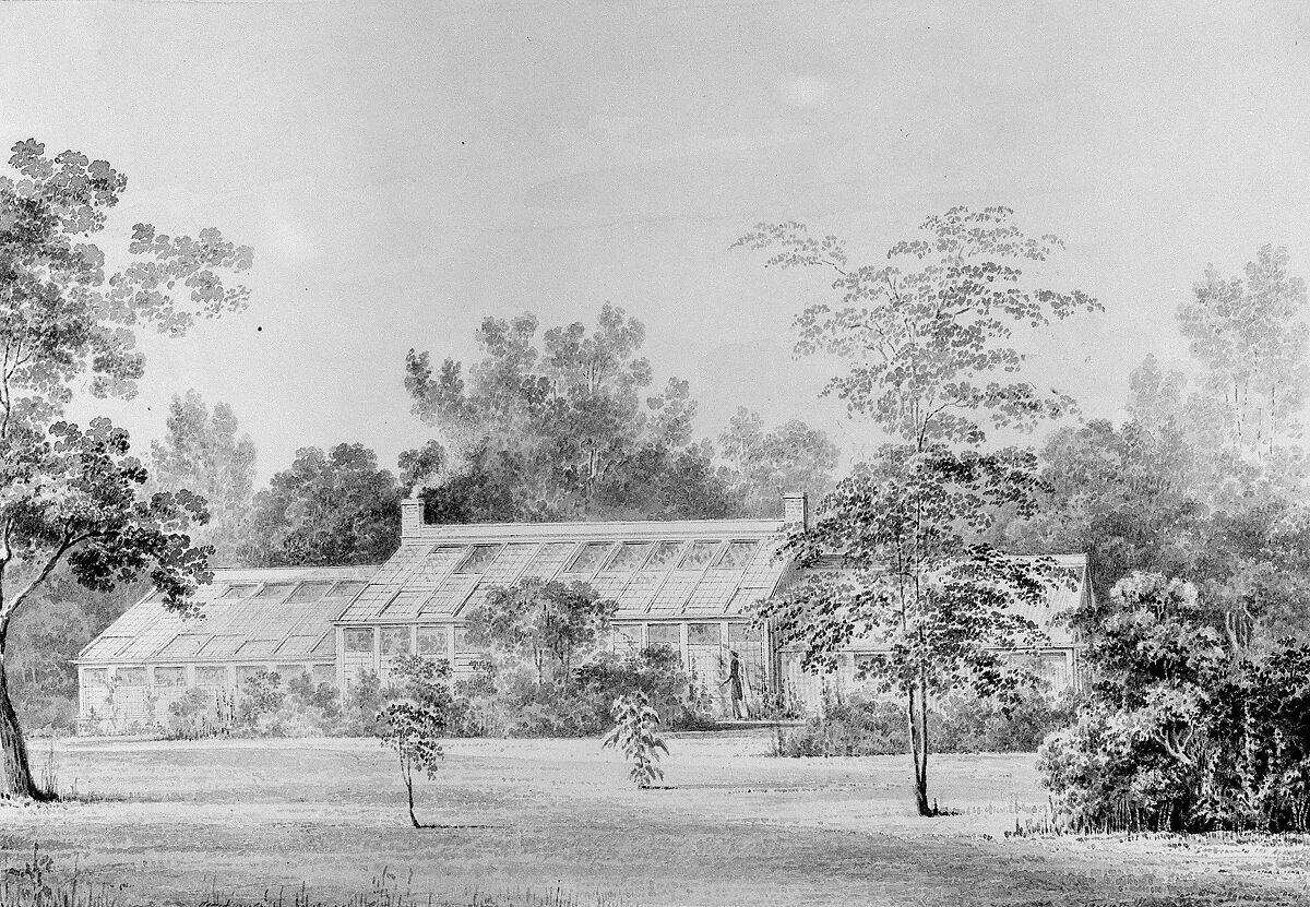 Greenhouse, David Hosack Estate, Hyde Park, New York (from Hoasack Album), Thomas Kelah Wharton (American (born England), Hull 1814–1862 New Orleans, Louisiana), Black ink (or watercolor) applied with pen or brush on off-white wove paper, American 