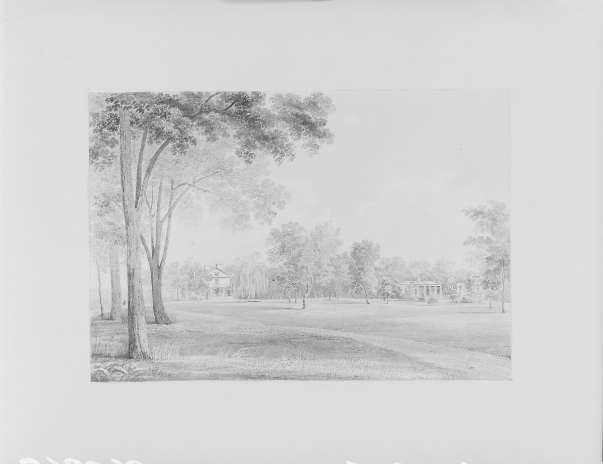 View of the David Hosack Estate, Hyde Park, New York, from the South (from Hosack Album), Thomas Kelah Wharton (American (born England), Hull 1814–1862 New Orleans, Louisiana), Black ink (or watercolor) applied with pen and brush and sgraffito on off-white wove paper, American
