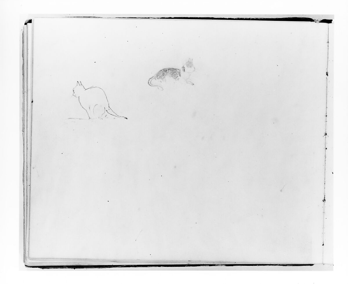 Two Cats (from Sketchbook), Francis William Edmonds (American, Hudson, New York 1806–1863 Bronxville, New York), Graphite on off-white wove paper, American 