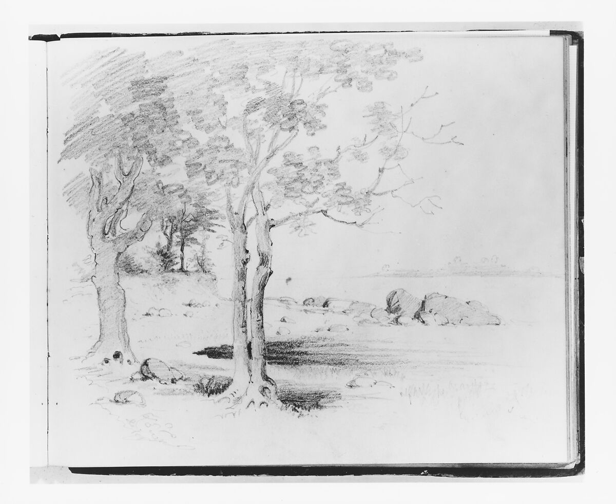 Landscape with Foreground Trees (from Sketchbook), Francis William Edmonds (American, Hudson, New York 1806–1863 Bronxville, New York), Graphite on off-white wove paper, American 