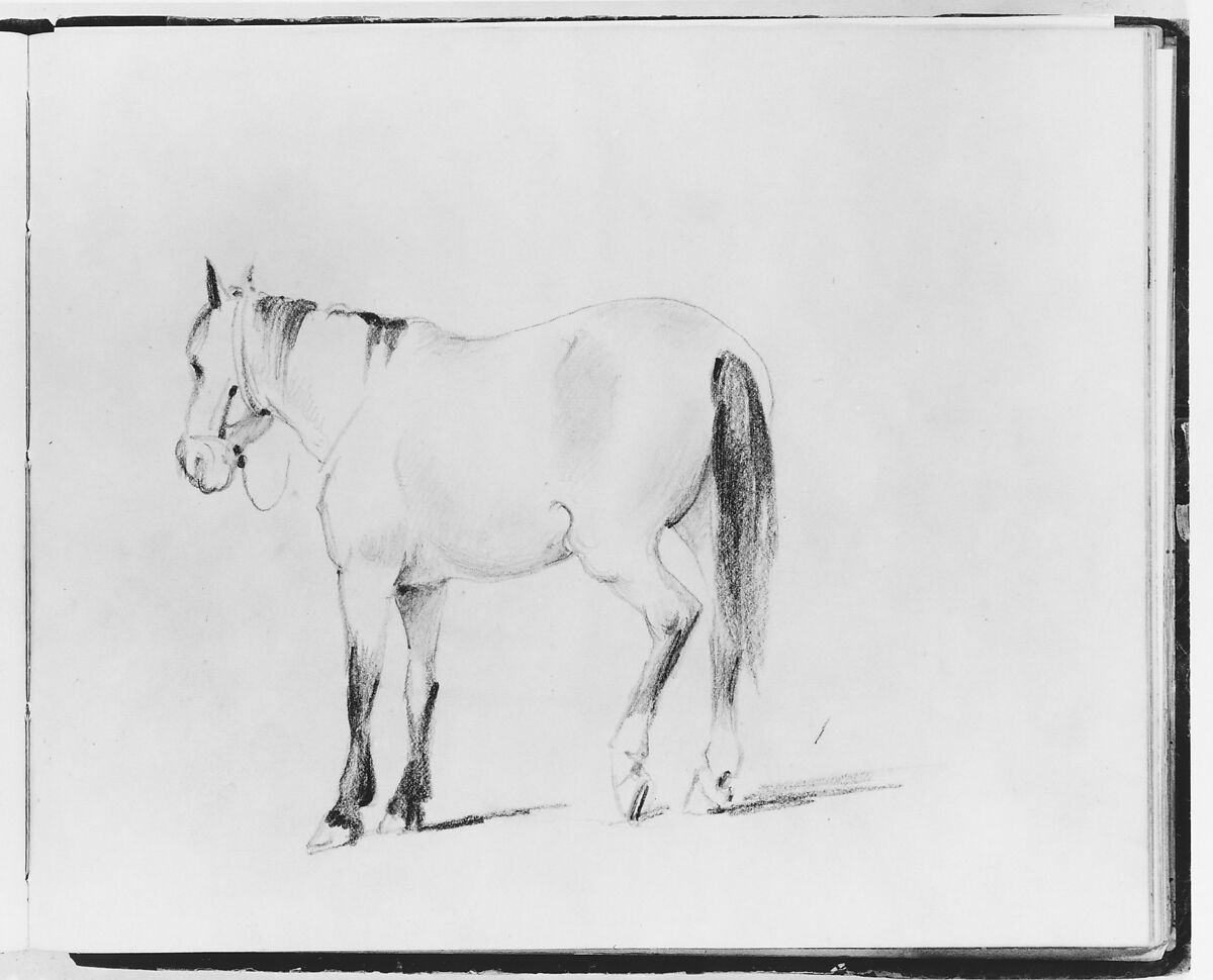 Horse (from Sketchbook), Francis William Edmonds (American, Hudson, New York 1806–1863 Bronxville, New York), Graphite on off-white wove paper, American 