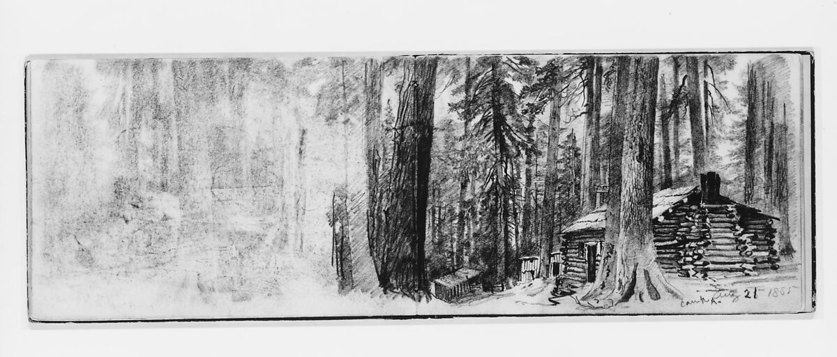 Camp A: Log Cabin in Woods (from Sketchbook), William Trost Richards (American, Philadelphia, Pennsylvania 1833–1905 Newport, Rhode Island), Graphite on off-white wove paper, American