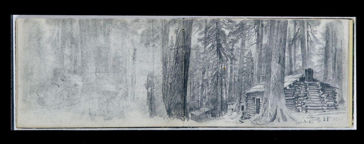 Camp A: Log Cabin in Woods (from Sketchbook), William Trost Richards (American, Philadelphia, Pennsylvania 1833–1905 Newport, Rhode Island), Graphite on off-white wove paper, American 