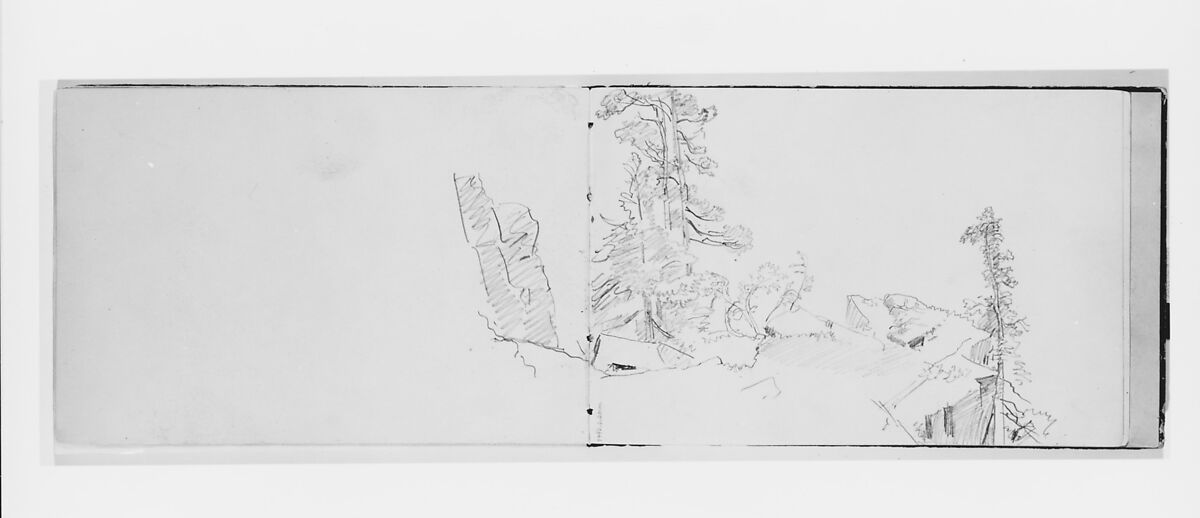 Trees and Cliff (from Sketchbook X), William Trost Richards (American, Philadelphia, Pennsylvania 1833–1905 Newport, Rhode Island), Graphite on off-white wove paper, American 