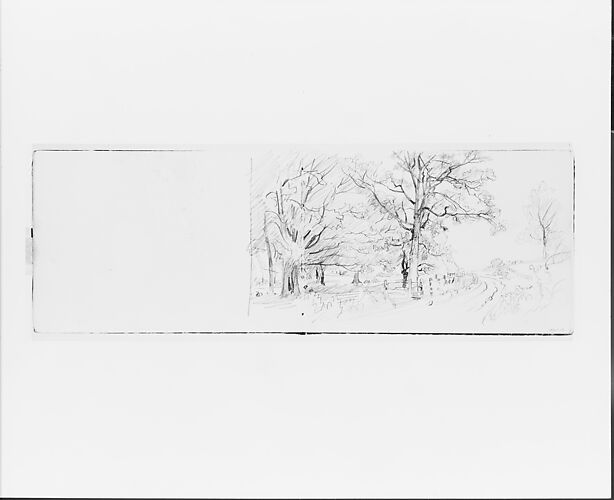 Country Road Framed by Trees (from Sketchbook VII)