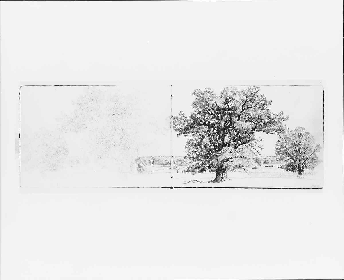 Two Trees in a Landscape (from Sketchbook VII), William Trost Richards (American, Philadelphia, Pennsylvania 1833–1905 Newport, Rhode Island), Graphite on white wove paper, American 