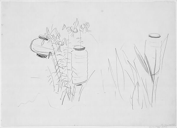 Japanese Lanterns and Lilies, Study for "Carnation, Lily, Lily, Rose", John Singer Sargent (American, Florence 1856–1925 London), Graphite on off-white wove paper, American 