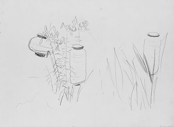 Japanese Lanterns and Lilies, Study for "Carnation, Lily, Lily, Rose", John Singer Sargent (American, Florence 1856–1925 London), Graphite on off-white wove paper, American