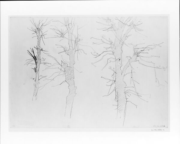 Shattered Trees, John Singer Sargent (American, Florence 1856–1925 London), Graphite on off-white wove paper, American