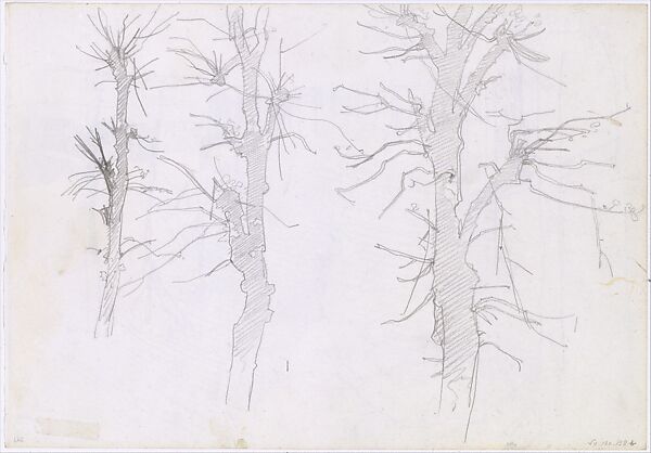 Shattered Trees, John Singer Sargent (American, Florence 1856–1925 London), Graphite on off-white wove paper, American