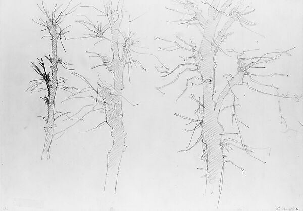 Shattered Trees, John Singer Sargent (American, Florence 1856–1925 London), Graphite on off-white wove paper, American 